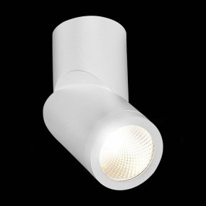 Светильник на штанге ST-Luce ST650 ST650.542.10 в Губахе - gubaha.mebel24.online | фото 5