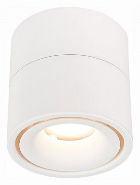 Светильник на штанге ST-Luce ST652 ST652.532.12 в Губахе - gubaha.mebel24.online | фото 2