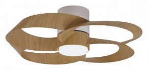Светильник с вентилятором Mantra Rose 8707 в Губахе - gubaha.mebel24.online | фото