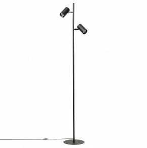 Торшер Citilux Twin CL809011N в Губахе - gubaha.mebel24.online | фото