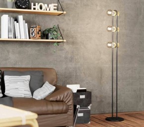 Торшер Eglo ПРОМО Chieveley 43544 в Губахе - gubaha.mebel24.online | фото 2
