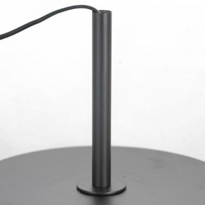 Торшер Lussole  LSP-0590 в Губахе - gubaha.mebel24.online | фото 3