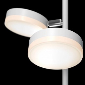 Торшер Maytoni Fad MOD070FL-L12W3K в Губахе - gubaha.mebel24.online | фото 5
