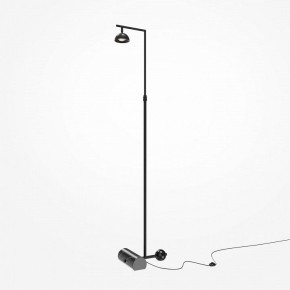 Торшер Maytoni Pikant MOD372FL-L10B3K в Губахе - gubaha.mebel24.online | фото 2