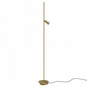 Торшер Maytoni Thin MOD395FL-L28BS3K в Губахе - gubaha.mebel24.online | фото