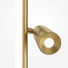 Торшер Maytoni Thin MOD395FL-L28BS3K в Губахе - gubaha.mebel24.online | фото 5