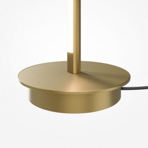 Торшер Maytoni Thin MOD395FL-L28BS3K в Губахе - gubaha.mebel24.online | фото 7