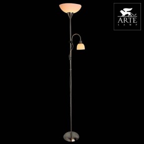 Торшер с подсветкой Arte Lamp Duetto A9569PN-2SS в Губахе - gubaha.mebel24.online | фото 3