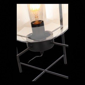 Торшер ST-Luce Burasca SL1050.505.01 в Губахе - gubaha.mebel24.online | фото 9