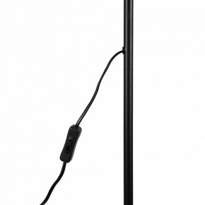 Торшер Uniel UML-T701 UL-00010188 в Губахе - gubaha.mebel24.online | фото 8