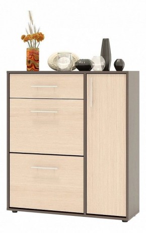Тумба для обуви ТП-4 в Губахе - gubaha.mebel24.online | фото