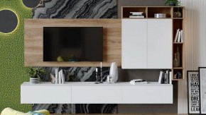 Тумба под ТВ Порто ТД-393.03.12 в Губахе - gubaha.mebel24.online | фото 6