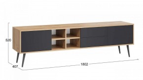 Тумба под ТВ Тип 5 в Губахе - gubaha.mebel24.online | фото 6