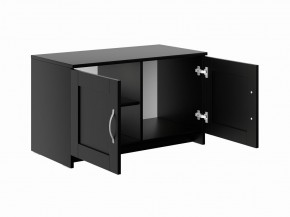 Тумба СИРИУС двухдверная низкая, цвет Дуб Венге в Губахе - gubaha.mebel24.online | фото 3