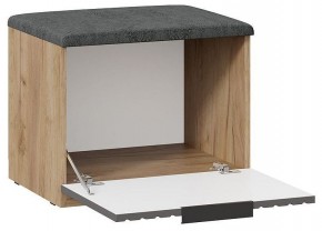 Тумбочка для обуви Хилтон Исп 2.1 в Губахе - gubaha.mebel24.online | фото 2