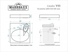 Умывальник над стиральной машиной (600*545*80) Смайл V55D1 (белый) с кронштейном без сифона (V55D1) в Губахе - gubaha.mebel24.online | фото 2