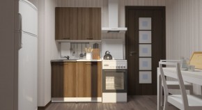 ЯНА Кухонный гарнитур Мини (1000 мм) в Губахе - gubaha.mebel24.online | фото