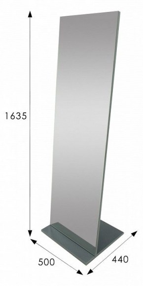 Зеркало напольное Стелла 2 в Губахе - gubaha.mebel24.online | фото 9